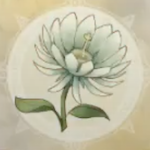 274 채집 소재 이미지
