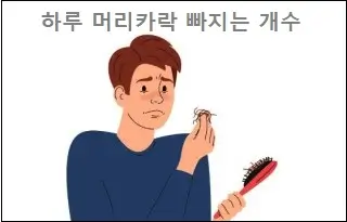 하루 머리카락 빠지는 개수
