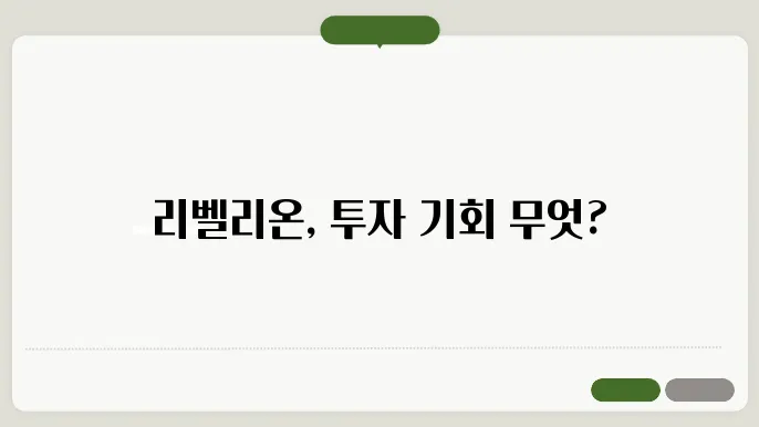 리벨리온 주가 : 상장 전 관련 내용 정리
