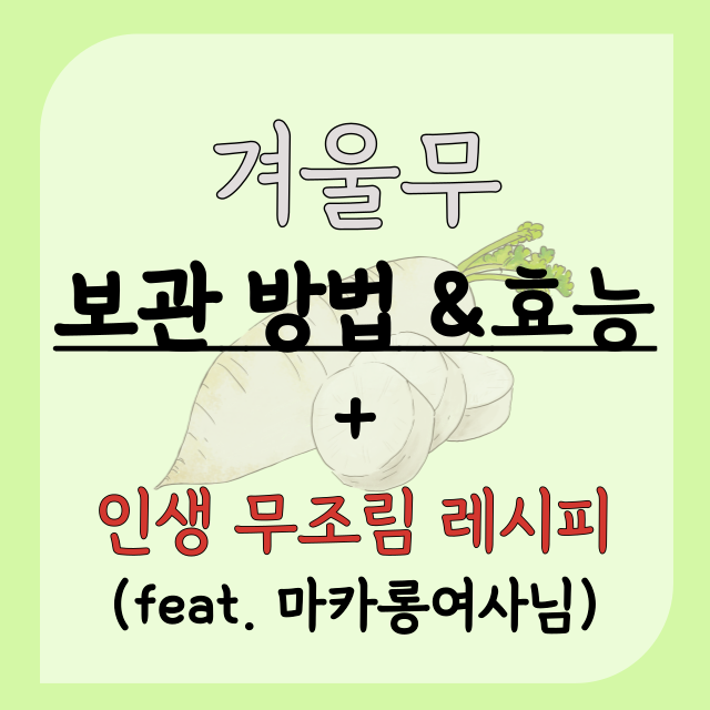 겨울무-보관방법-효능-무조림-레시피