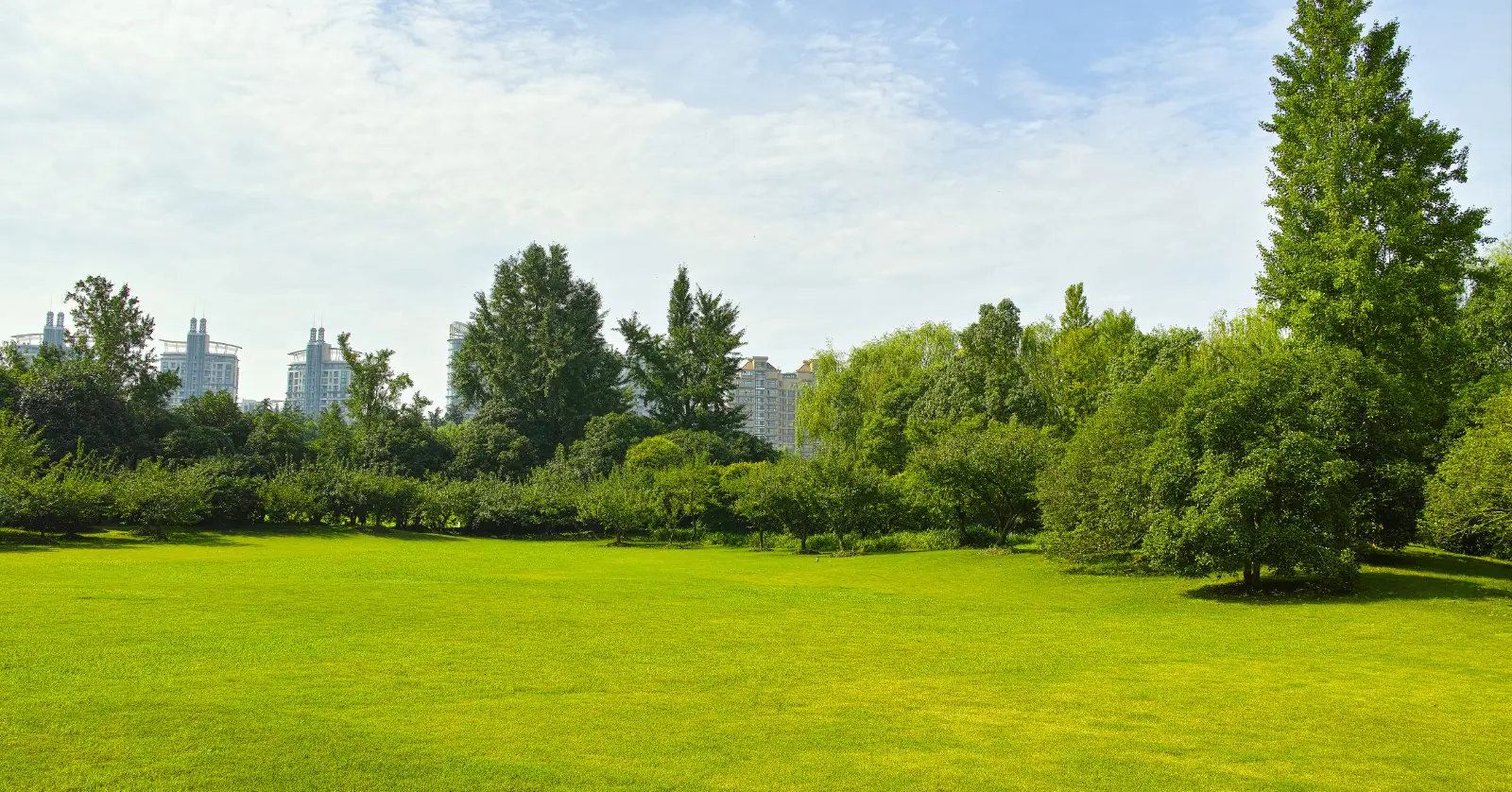 실거래가란? 시장에서의 실제 거래 가치