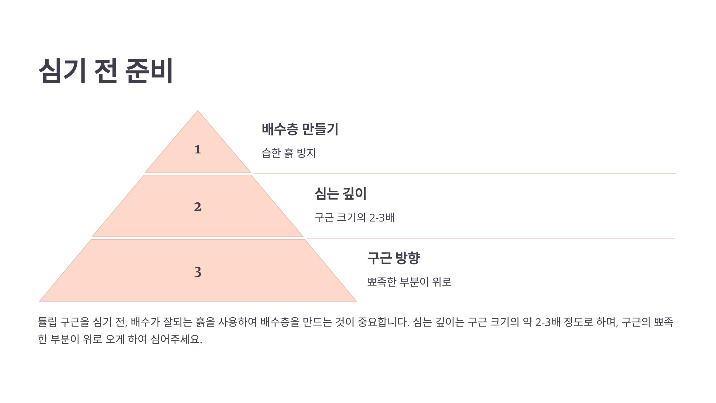 튤립과 관련된 사진입니다.