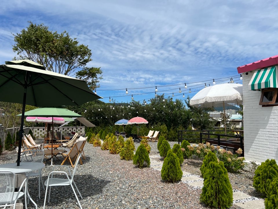 포토샵 raw 파일 사진보정 및 용어 알아보기(색보정)