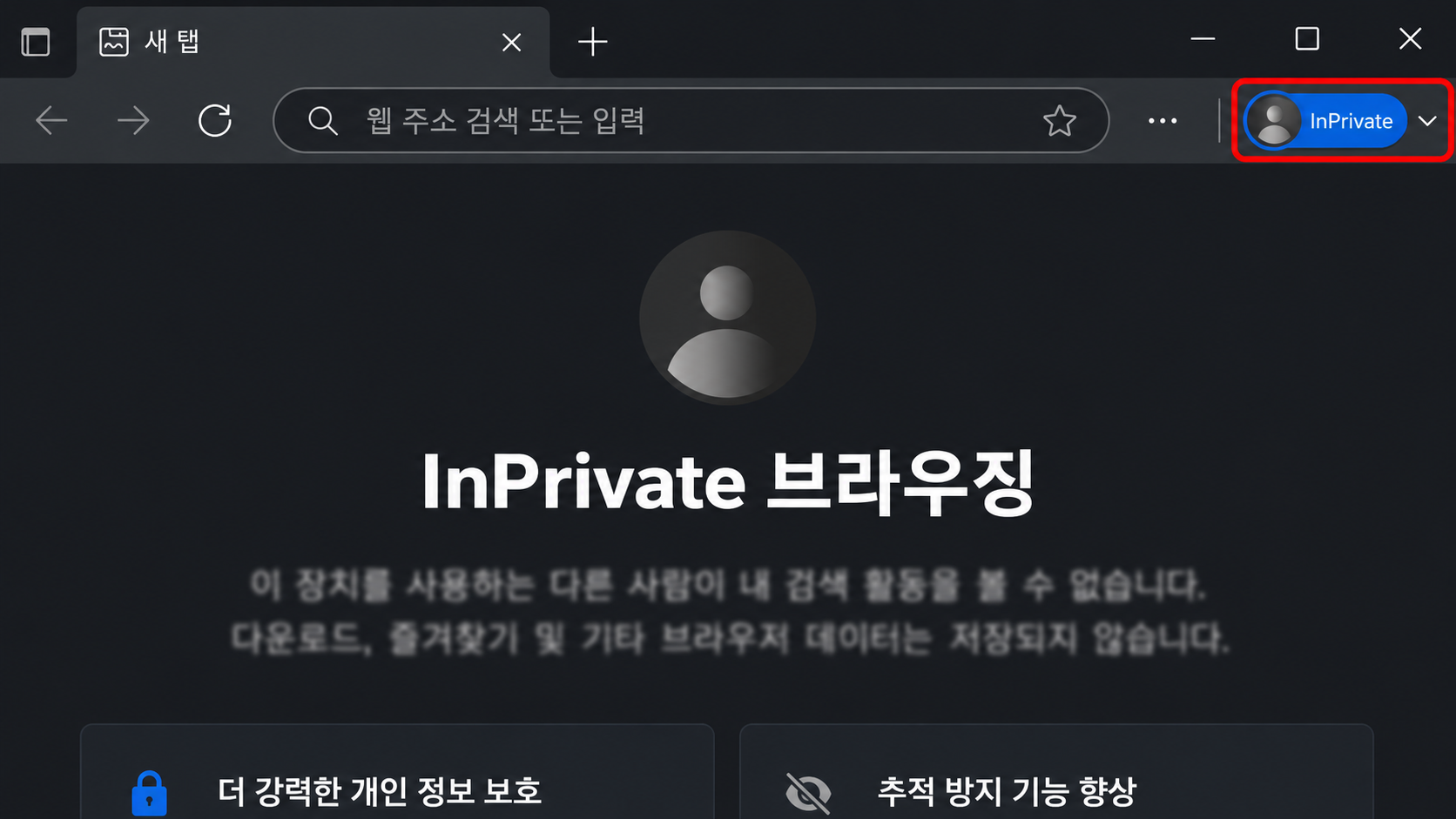 엣지 InPrivate 창 화면