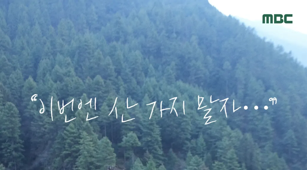 태어난 김에 세계일주4 시청률 재방송 미리보기 근본논쟁 넷플릭스