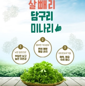 김포미나리