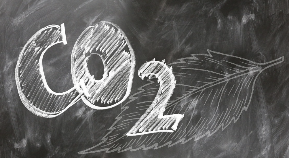 탄소 발자국 줄이기, 개인이 할 수 있는 실천법