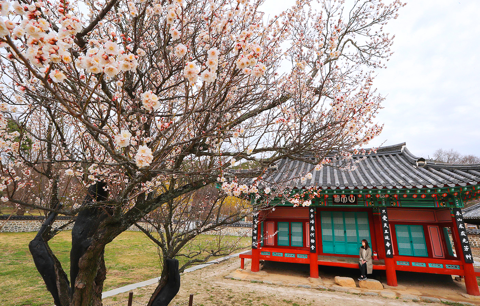 산천재 남명매