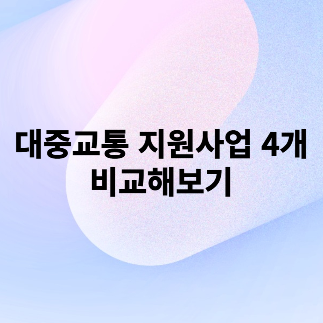 대중교통-지원사업