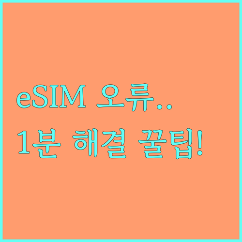 아이폰 갤럭시 eSIM 개통 인식 오..