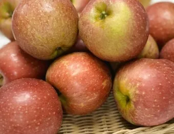 감홍사과 수확시기, 가격, 특징, 효능, 보관법, 문경 감홍사과_38