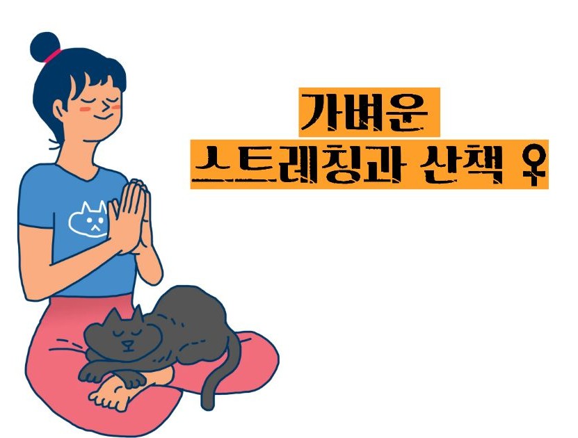 배란통 증상
