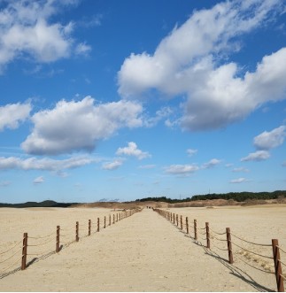 태안 추천 관광지 베스트10 관련 사진