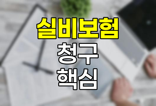 실비보험 청구 핵심 정보