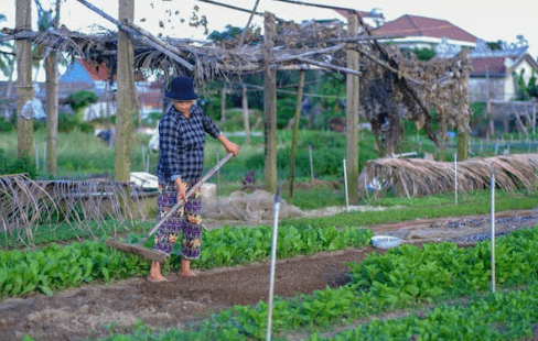 느림이 주는 집중의 힘, 몰입의 리듬을 되찾다