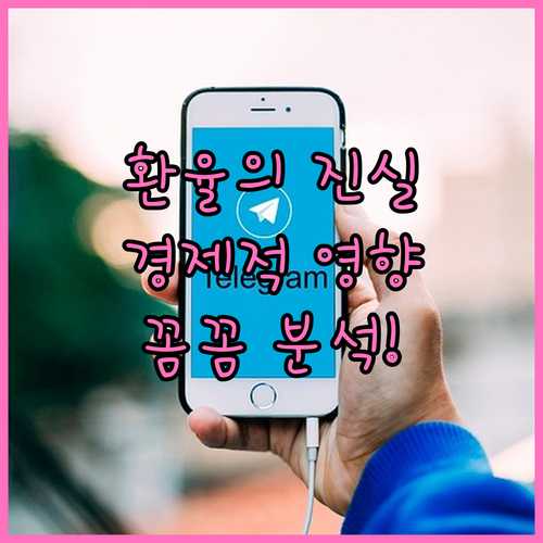 환율 상승과 하락, 그 이면에 숨겨진