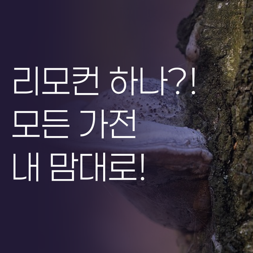 스마트 리모컨 허브 하나면 끝, 집 ..