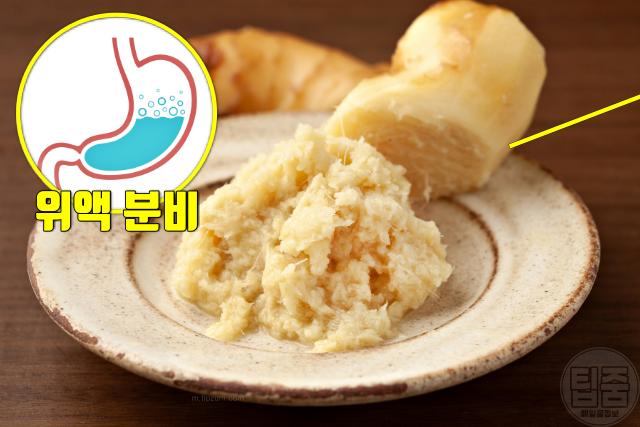 소화불량에 좋은 음식 약재 천연소화제 생강