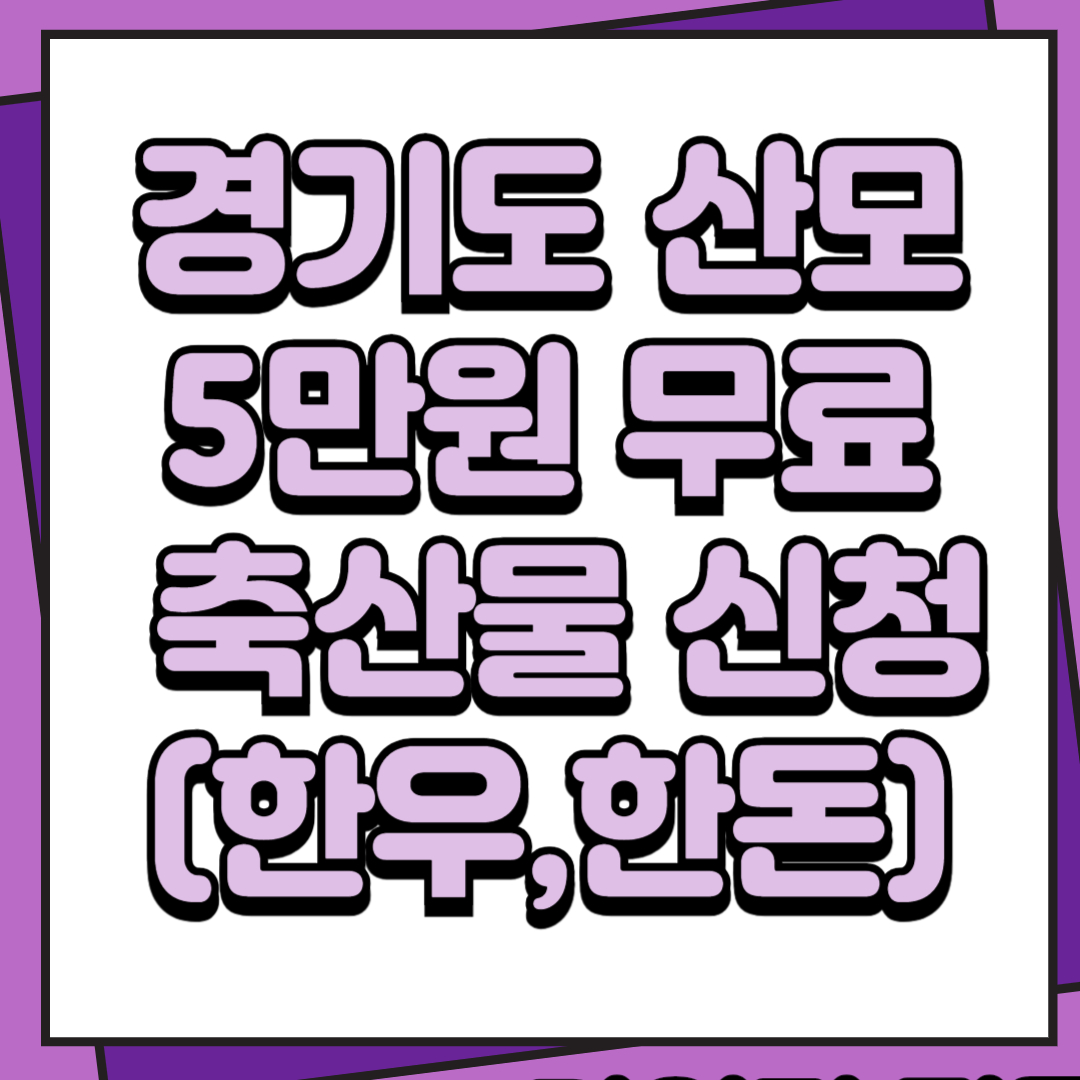 축산물꾸러미