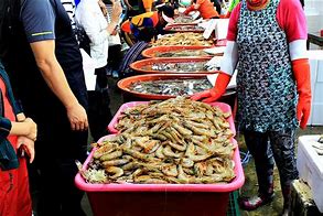 백사장항 대하축제