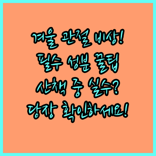 반려동물 겨울 관절 보호: 영양제 성..