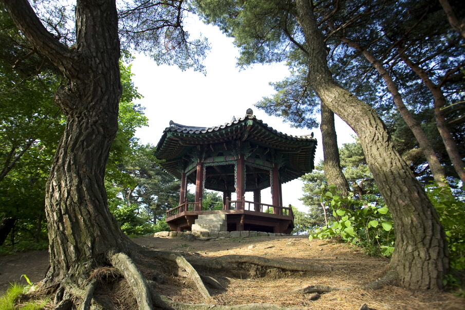 영월정