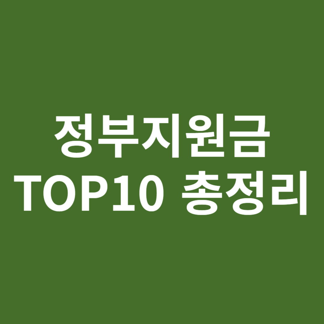 정부지원금 TOP10