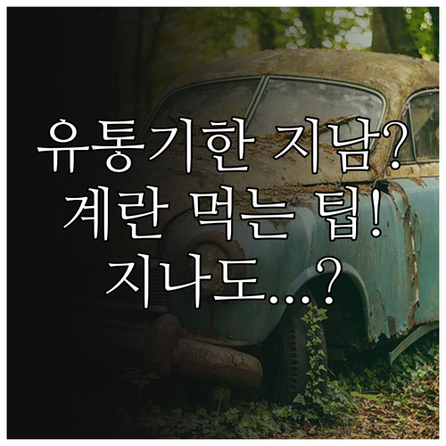 냉장고 속 계란 유통기한 지나도 먹는..