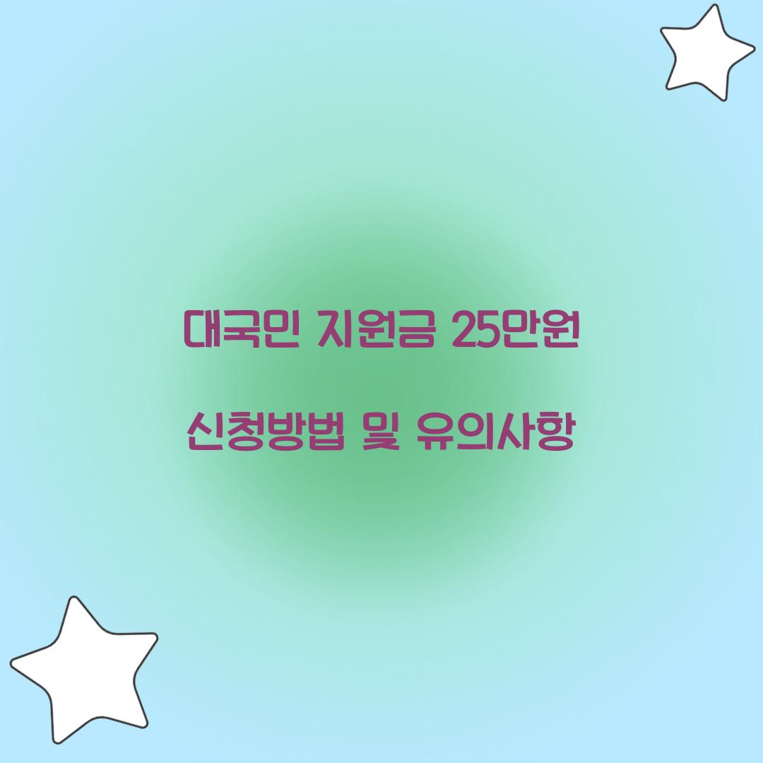 대국민 지원금 25만원 신청방법