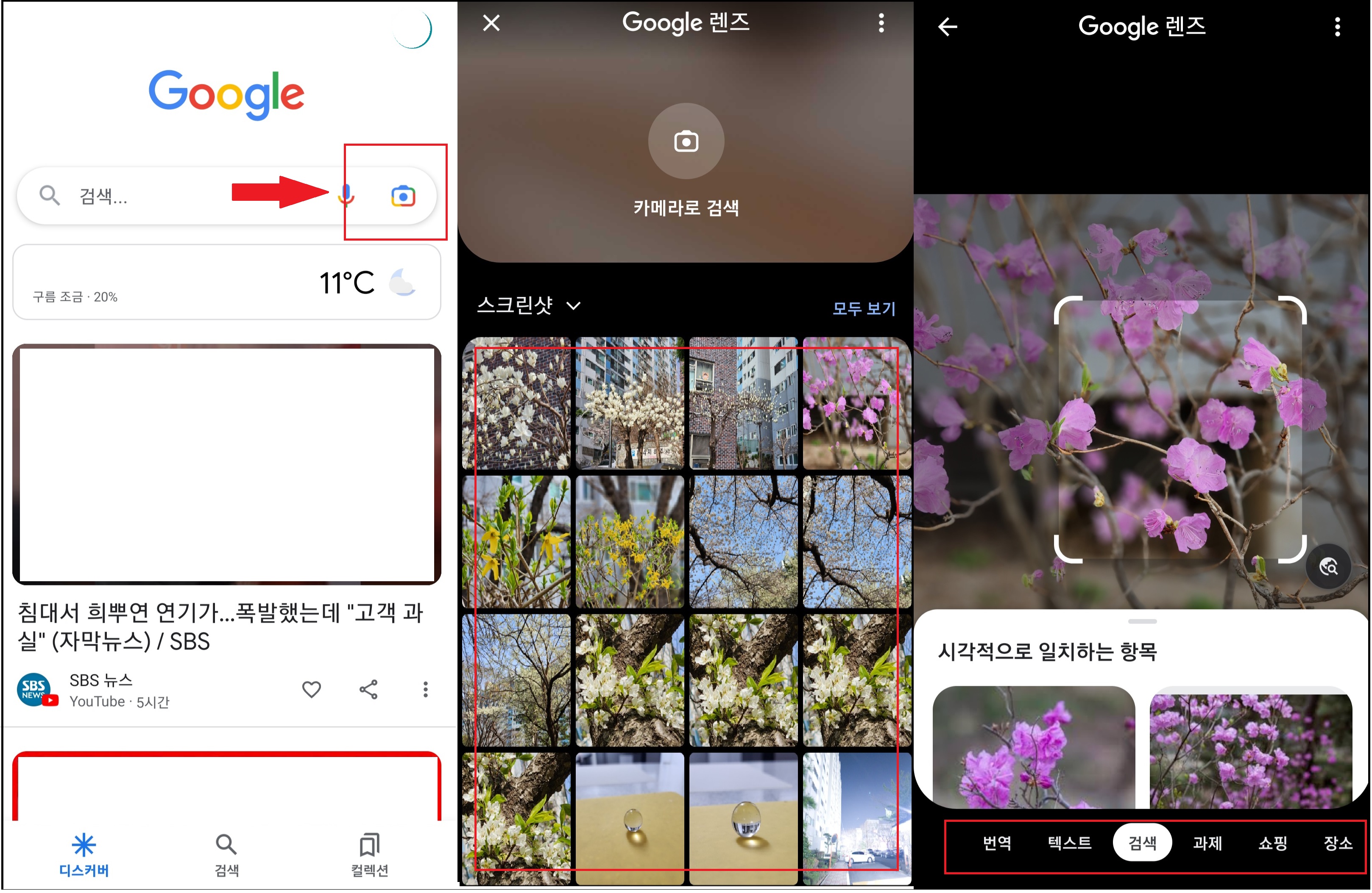 모바일 구글 홈에서 사진으로 꽃 이름 찾기