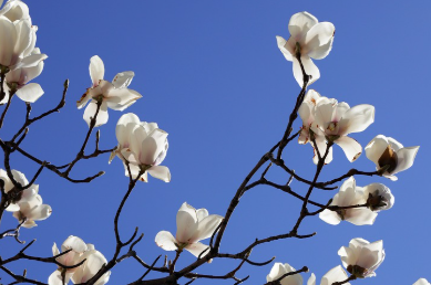 화담숲-예약하기