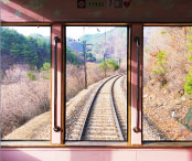 백두대간 협곡열차