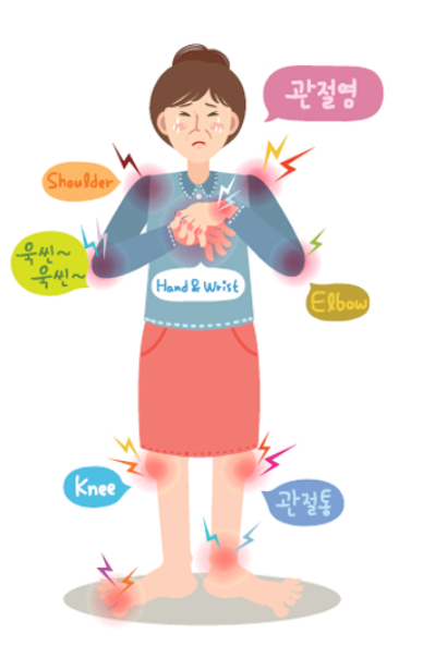 퇴행성 관절염 소개