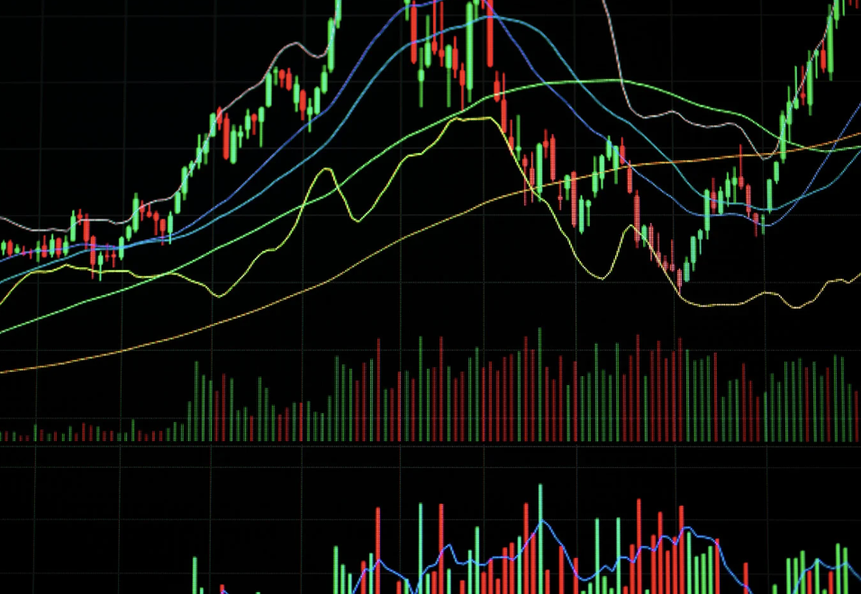 딥시크 주식 관련주 쇼크 미국 ai 시장