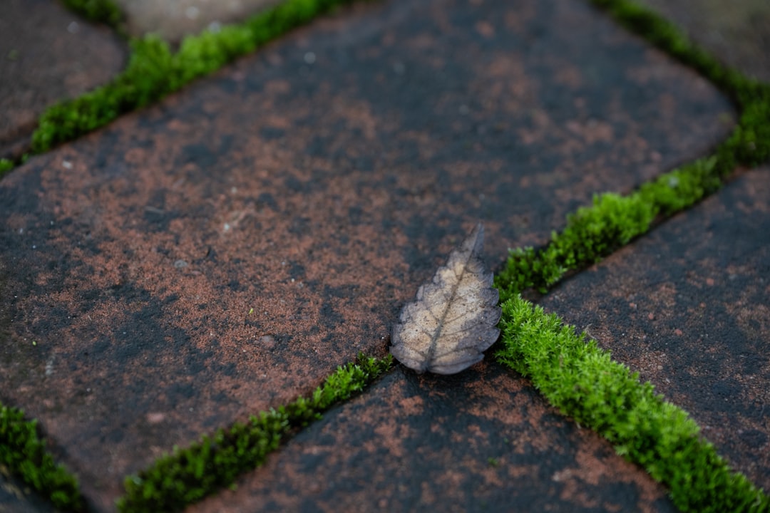 Persistence.