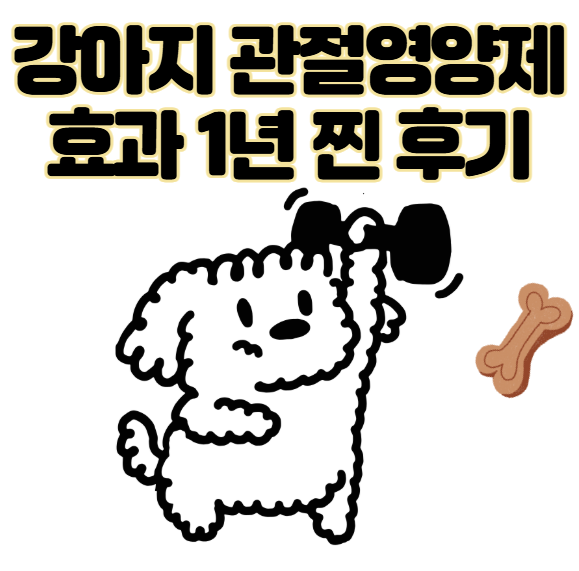 강아지 관절영양제 효과 진짜 있나요? 시중 제품 비교 후 1년 급여 후기