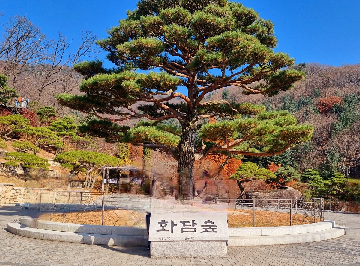 경기도 광주 곤지암 화담숲 단풍시즌, 가을 풍경 퍼레이드와 주변 맛집