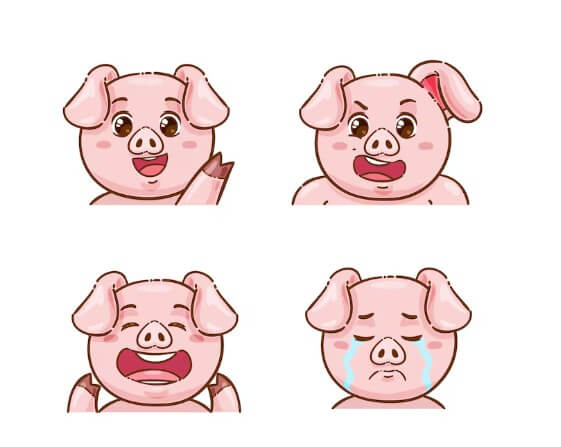 돼지의 여러 가지 표정들