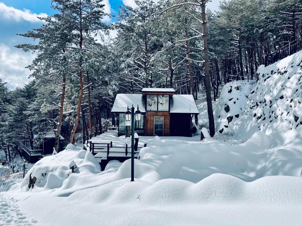 인제별들의기침