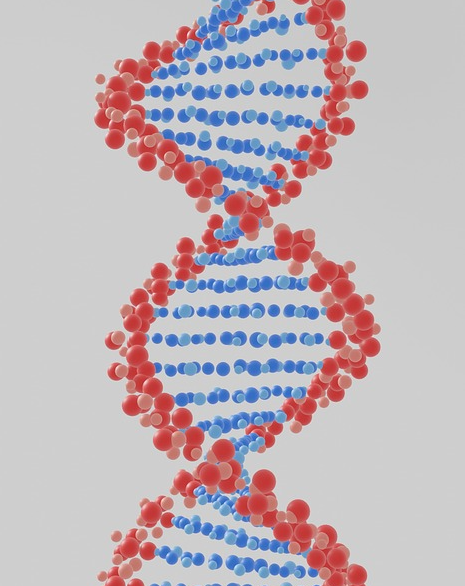 개인 맞춤 건강, 유전자 분석으로 가능할까? 관련 사진