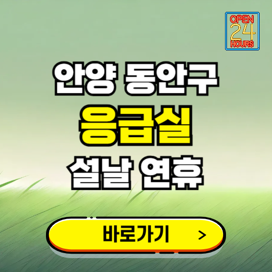 안양시 동안구 설날 연휴 비상진료 응급실 병원 찾기 ❘ 내근처 24시 야간 심야 휴일 가능한 곳