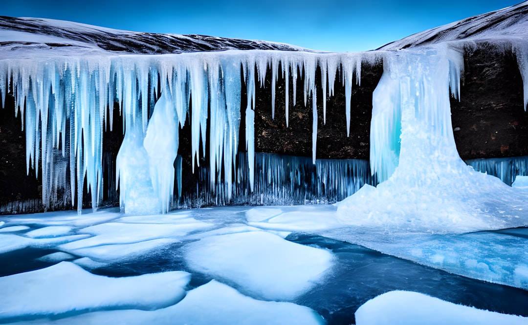 Freeze