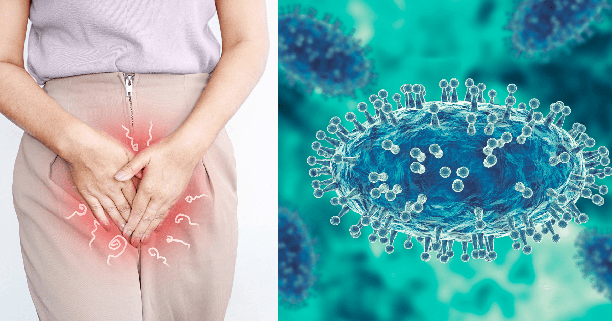 자신의 내음부 부근에 손을 대고 있는 여성과 바이러스