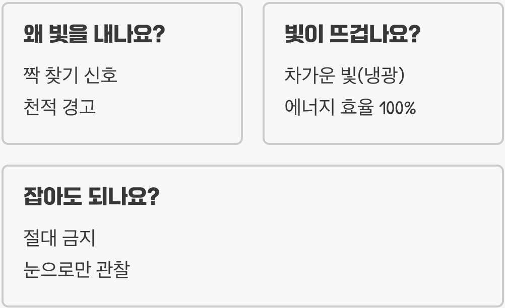 늦반딧불이와 초여름 반딧불이의 차이 알기