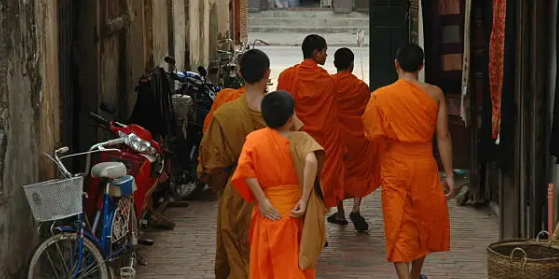 활기와 따뜻함의 색 주황색의 모든 것