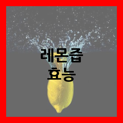 레몬즙 효능