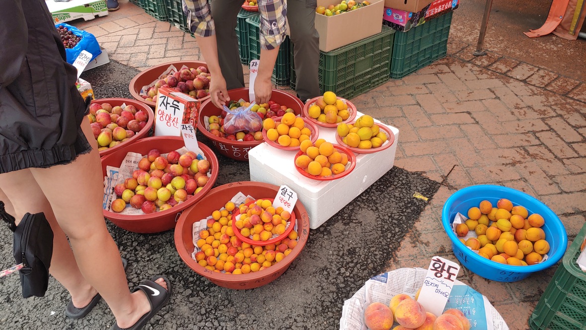 장터의 자두와 살구 황도