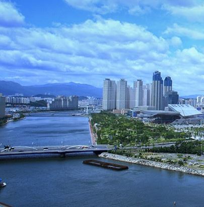 전세대출