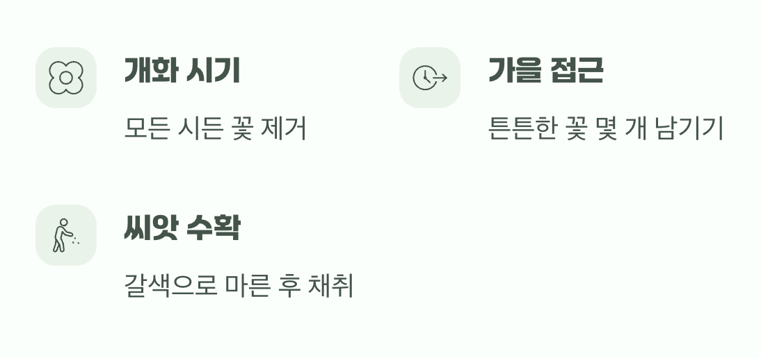 씨앗을 받고 싶을 때는 잠시 멈춤!