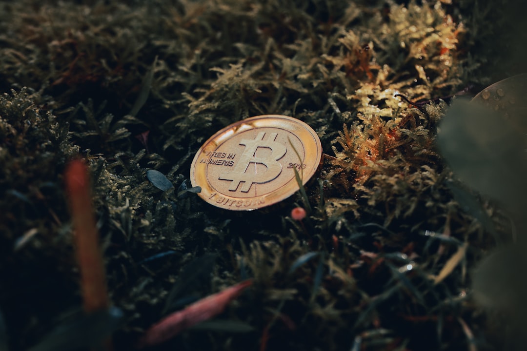 희망저축계좌 → Hope Savings Account